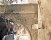 1667358370900-gigapixel-low_res-scale-4_00x-SharpenAI-Focus-Color-Restored.jpg