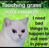 1668732254025.png