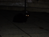 1670372537142.png