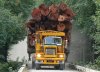 Pacific-heavy-truck-2097189226.jpg