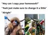 FB_IMG_1673292295691.jpg