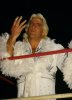 fc5db25ce855e25c4c80279cad527f33--ric-flair-nature.jpg