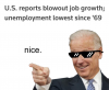 1a6ybu9b4vga1.png