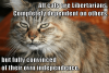 pic-of-cat-with-text-about-libertarians.png