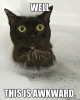 1678469979359.png