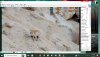 animal_world.jpg
