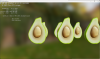 1679765243365.png