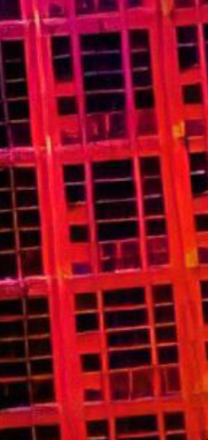Screenshot_20230329-162514_Gallery.jpg