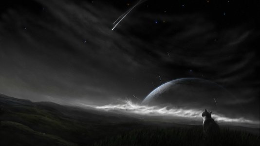 Cat Universe.jpg