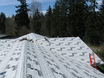 Pete's roof 2009 006.jpg