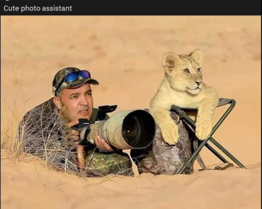 Capture.PNG