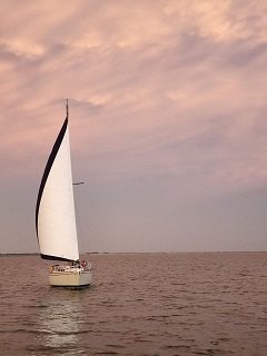 Resized_20220611_210218 - Copy.jpg