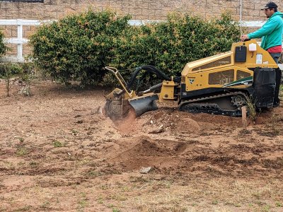 PXL_20230501_153115137 (1).jpg