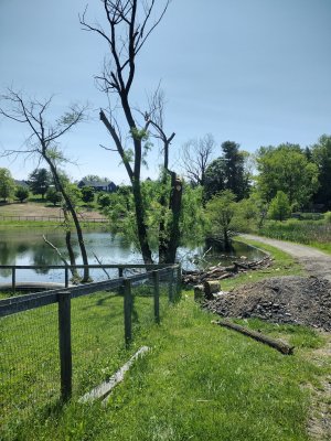 IMG_20230510_143352042_HDR.jpg