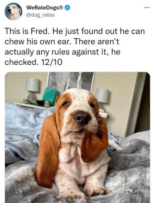 YWphrGJ.jpeg YWphrGJ.jpeg