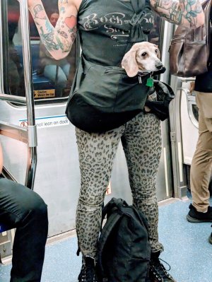 PXL_20230514_220437354 (Medium).jpg