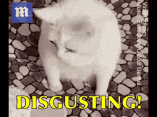 1684211641635.gif