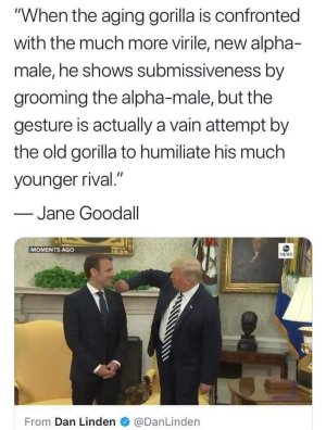 346473701_670136908183562_8935273023125741505_n.jpg