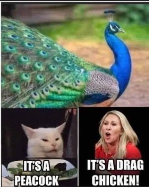 FB_IMG_1684520870111.jpg