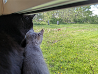 1684714049365.png 1684714049365.png