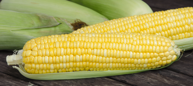 sweet-corn.png