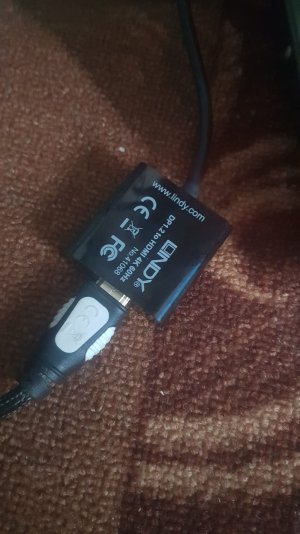 adapter DP.jpg