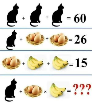 354248039_232171819591191_640398796703049644_n.jpg