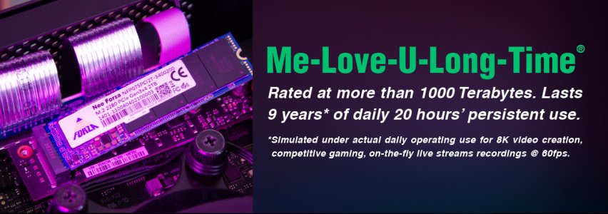 Neo Forza SSD-NFP075PCI1T-3400200-a3.jpg