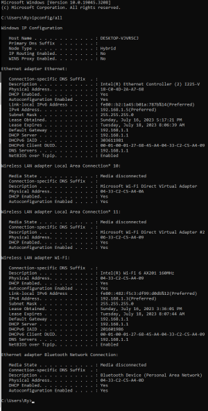 ip config.png