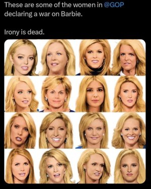 FB_IMG_1689655378808.jpg