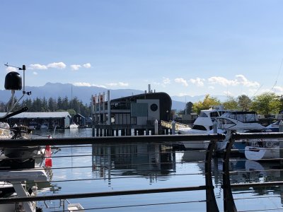 IMG_1971.jpeg