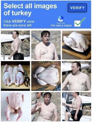 musk.jpg