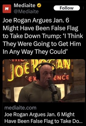 1csphf9ghbfb1 (Medium).jpg