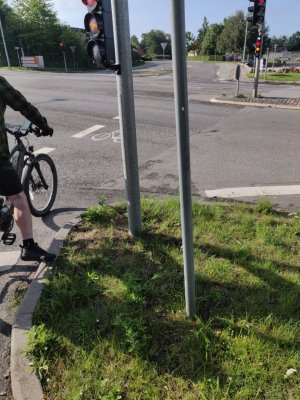 IMG_20230802_090544 (Large).jpg