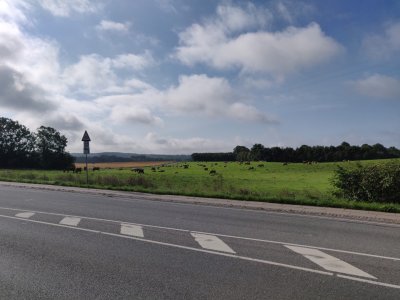 IMG_20230802_085958 (Large).jpg