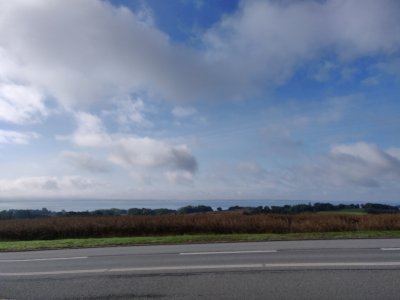 IMG_20230802_085313 (Large).jpg