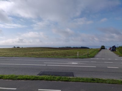 IMG_20230802_085014 (Large).jpg