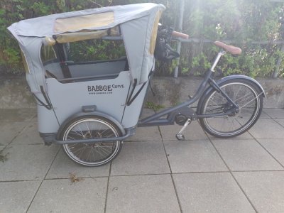 IMG_20230802_084958 (Large).jpg