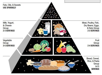 food-guide-pyramid.jpg