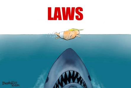 1691619550379.png