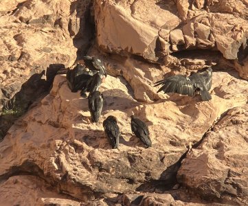 IMG_E0201.JPG IMG_E0201.JPG