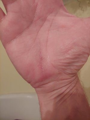 0811231851.jpg