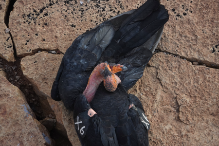 1692393322684.png 1692393322684.png