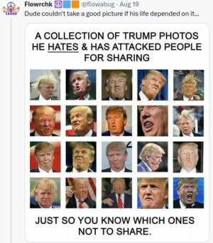 1692620560457.png