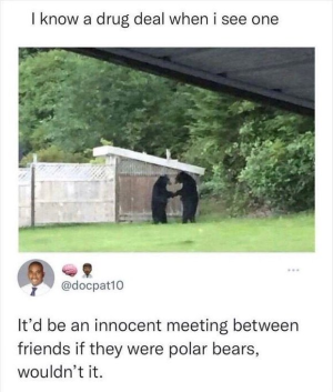 1692894572115.png