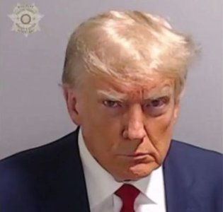 Trump mug shot 2.jpg