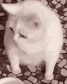 1694135412008.gif