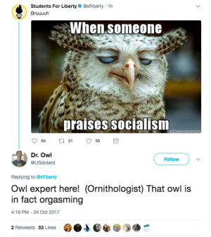 1695317490785.png