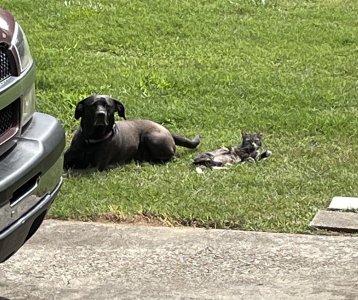 IMG_0642.jpeg IMG_0642.jpeg