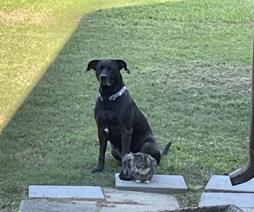 IMG_0829.jpeg IMG_0829.jpeg